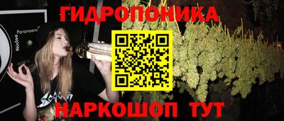 стафф Дубна