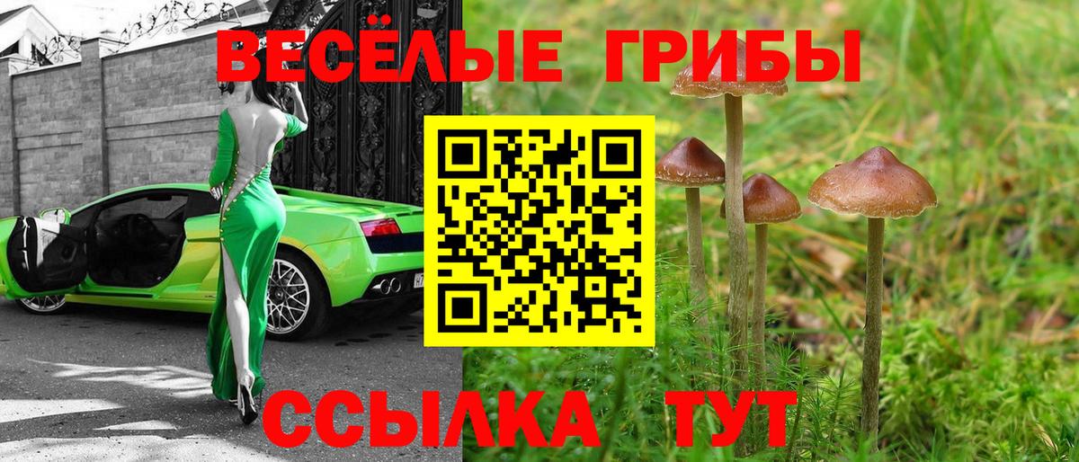 Галлюциногенные грибы прущие грибы  Галлюциногенные грибы прущие грибы  как найти   Кстово  Вход с VPN 