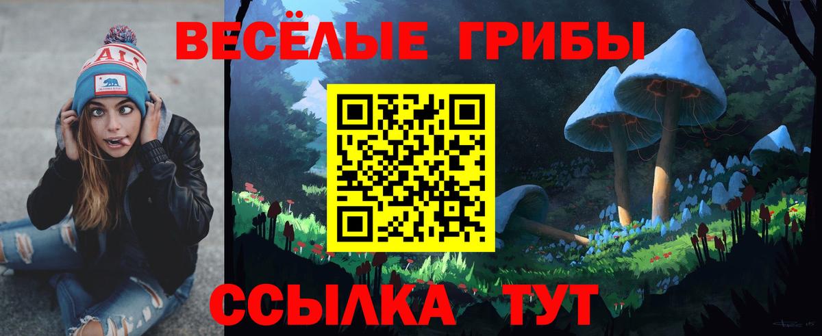Псилоцибиновые грибы MAGIC MUSHROOMS Кстово